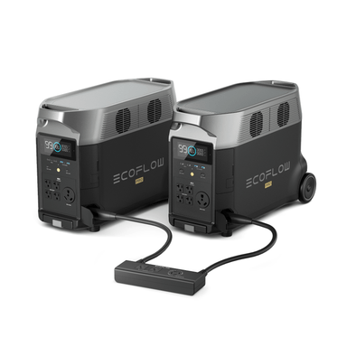 DELTA Pro (2) and Double Voltage Hub Power Station EcoFlow   